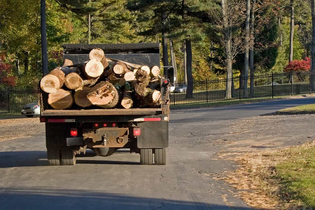A truck hauling logs away from a downed tree in Chesterfield